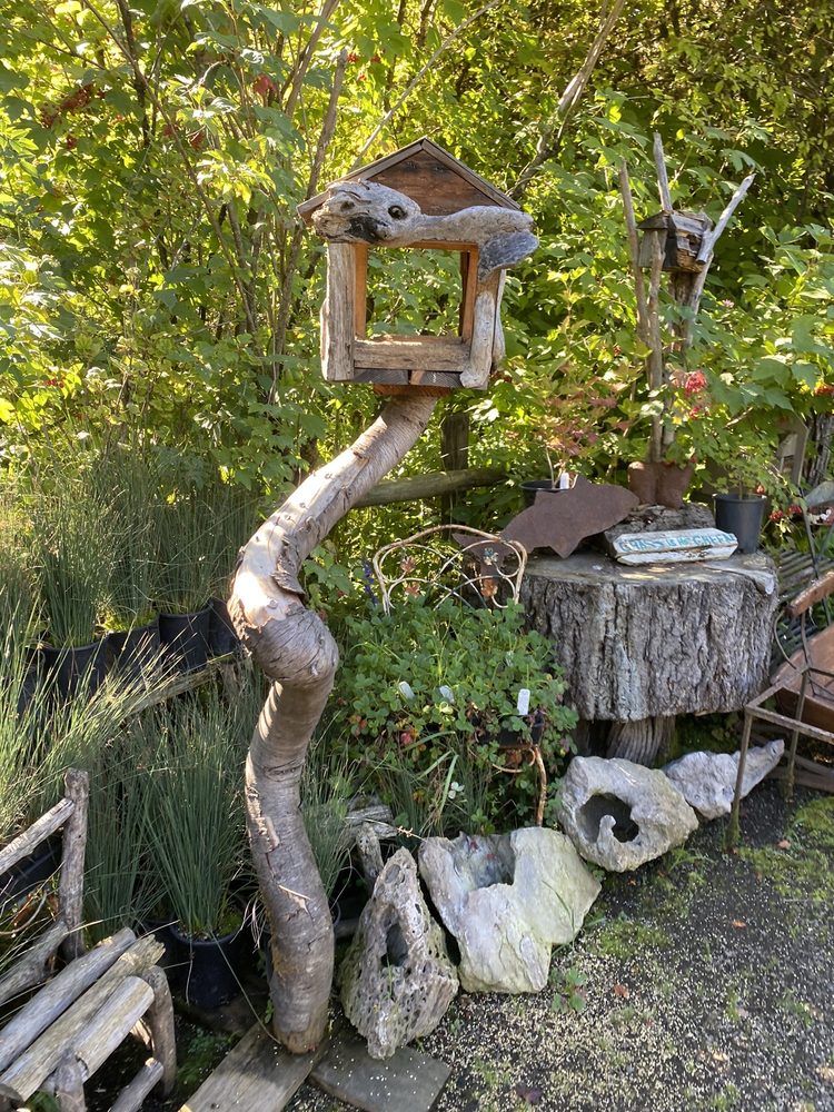 BOSKY DELL NATIVES 25 Photos & 15 Reviews Nurseries & Gardening