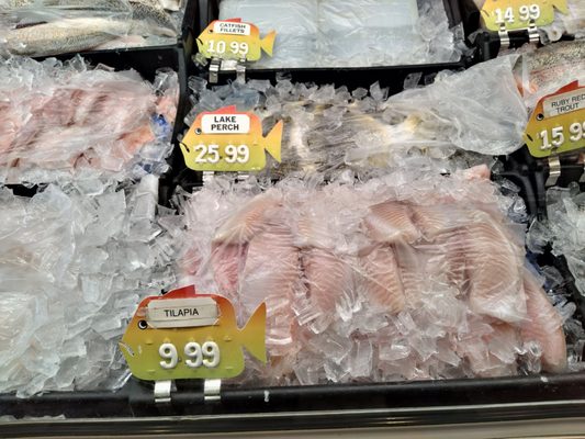 The Fish Market by null