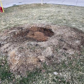 Rangel Tree Service - How my yard looks today. - Tree Services Near Me - Brookshire, Texas Rangel Tree Service - How my yard looks today. - Tree Services Near Me - Brookshire, Texas