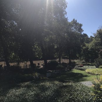Canoe - View from the outdoor eating area. - New American Near Me - Atlanta, Georgia