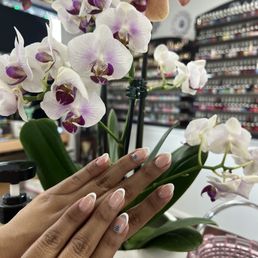 Gel X, French tip, small design