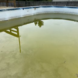 Tadpoles, anyone? Tadpoles, anyone?