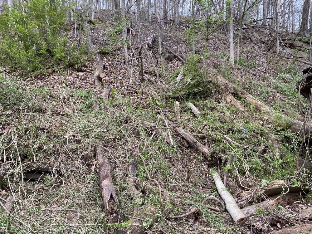 Jordan Landscaping - tree service in Charleston, WV