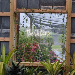 Orban's Nursery - Beautiful plants in a quaint little barn