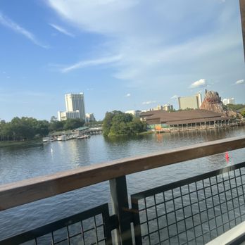 Paddlefish - Seafood Near Me - Orlando, Florida Paddlefish - Seafood Near Me - Orlando, Florida