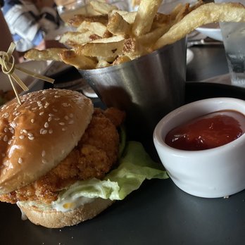 Cadence Kitchen - Chicken sandwich - American Near Me - Downers Grove, Illinois Cadence Kitchen - Chicken sandwich - American Near Me - Downers Grove, Illinois