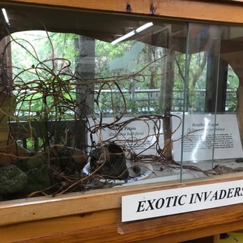 Fern Forest Nature Center - Dead plants at unmaintained display - Parks Near Me - Coconut Creek, Florida