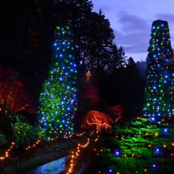 CVS Sightseeing - Butchart Gardens Holiday lights Tour