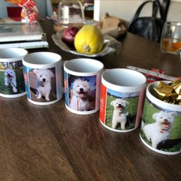 Annual holiday gift from Dogwalks: your dog's mug on a mug! Annual holiday gift from Dogwalks: your dog's mug on a mug!