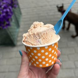 Grassroots Ice Cream - Geranium Blueberry Chip