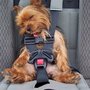 Photo of Seatbelt Services Ltd