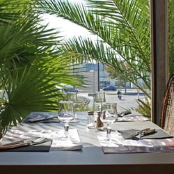 Côté Palmiers