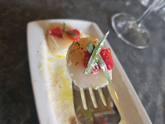 Bar Crudo by null