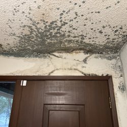 Pacific Northwest Inspections Group - Molde Remediation