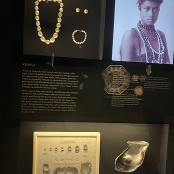 The Bailey-Matthews Shell Museum - Pearls - Museums Near Me - Sanibel, Florida