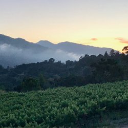 Parsonage Winery Tasting Room - Our Carmel Valley vineyard & residence is just a half mile down the road from our tasting room.