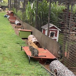 Lanai's cat sanctuary