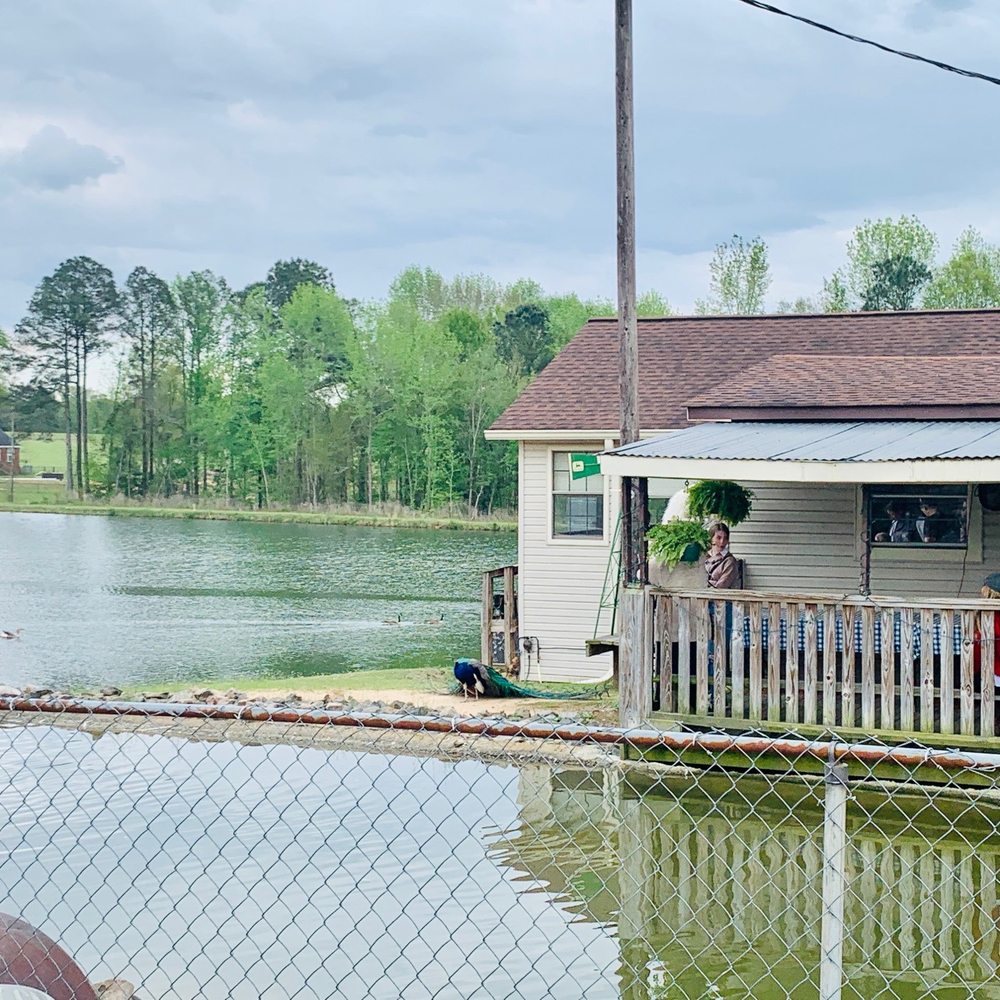 Old McDonald Fish Camp - Outside - Seafood Near Me - North Augusta, South Carolina Old McDonald Fish Camp - Outside - Seafood Near Me - North Augusta, South Carolina