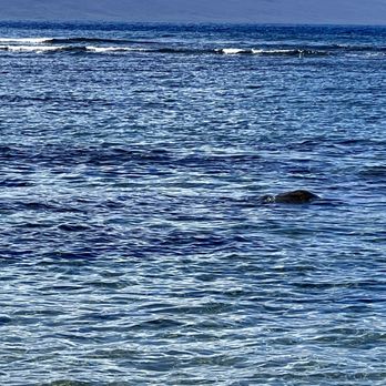 Baby Beach - Beaches Near Me - Lahaina, Hawaii Baby Beach - Beaches Near Me - Lahaina, Hawaii