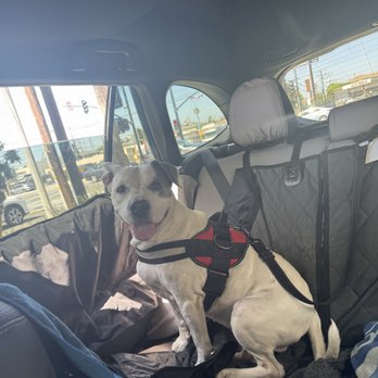 Starbucks - drive through co pilot - Coffee & Tea Near Me - Bellflower, California