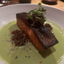 Salmon