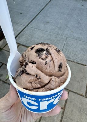 rancatore's ice cream and yogurt by null