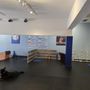 Zoom Room Dog Training