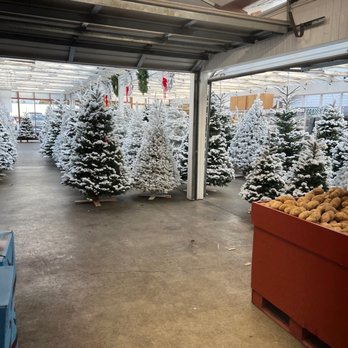 Carpinito Brothers - Nurseries & Gardening Near Me - Kent, Washington