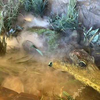 Rainforest Cafe - Croc - American Near Me - Atlantic City, New Jersey