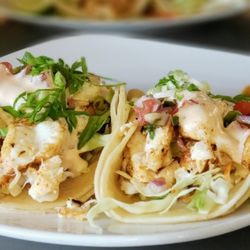 Tommy O's @ The Camas Hotel - Lunch Special! Fresh Alaskan Halibut Tacos