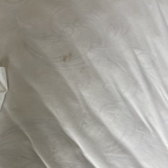 Florida Vacation Homes - Blood stain on mattress cover. 2955 Fable St Kissimmee, FL - Vacation Rentals Near Me - Davenport, Florida