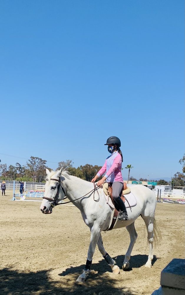 CHEVAL TRAINING STABLES Updated October 2024 25 Photos 905