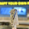 Parkway Food Hall gift card