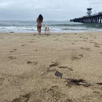 Seal Beach - Sahara Huntington , introducing her to Huntington Beach - Beaches Near Me - Seal Beach, California