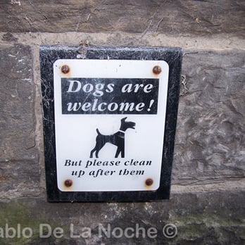 Holyrood Park - Parks Near Me - Edinburgh, EDH