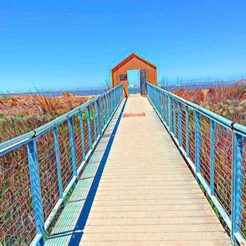 Alviso Marina County Park - Alviso Marina County Park - Parks Near Me - Alviso, California