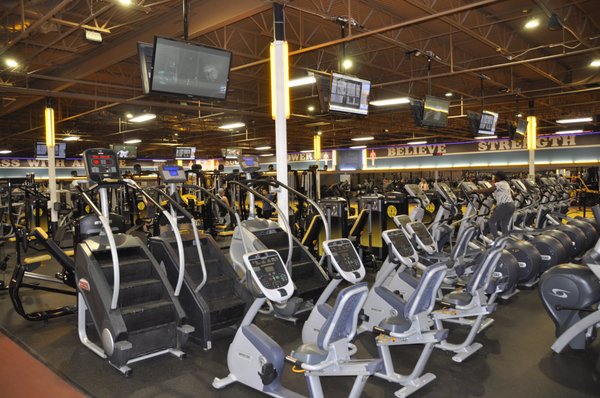 Gold's Gym, 1691 Memorial Blvd, Ste A, Murfreesboro, TN 37129, US