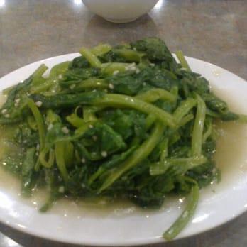 Congee Noodle King - "Dow miu" (vegetables)~ - Chinese Near Me - Vancouver, British Columbia Congee Noodle King - "Dow miu" (vegetables)~ - Chinese Near Me - Vancouver, British Columbia