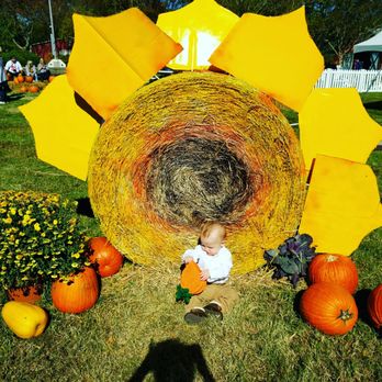 Bluebird Gap Farm - The props match his hair - Parks Near Me - Hampton, Virginia