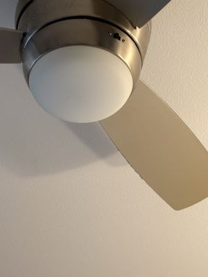 My Hawai‘i Hostel by null