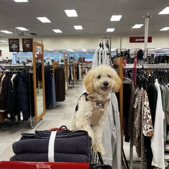 TJ Maxx - Department Stores Near Me - North Kingstown, Rhode Island TJ Maxx - Department Stores Near Me - North Kingstown, Rhode Island