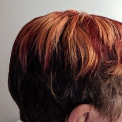 The Wild Hair Salon