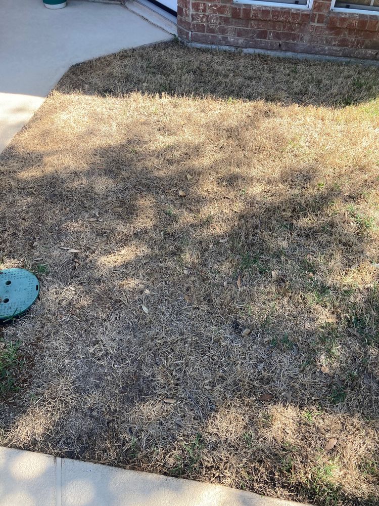 STARTEX LANDSCAPING Updated September 2024 46 Photos 2802 Gooch