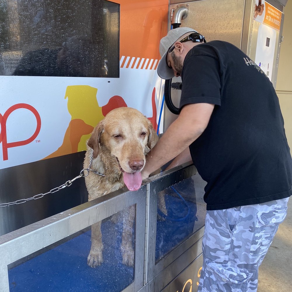 Loop Neighborhood Market - My doggy enjoys his showers. - Gas Stations Near Me - San Rafael, California Loop Neighborhood Market - My doggy enjoys his showers. - Gas Stations Near Me - San Rafael, California