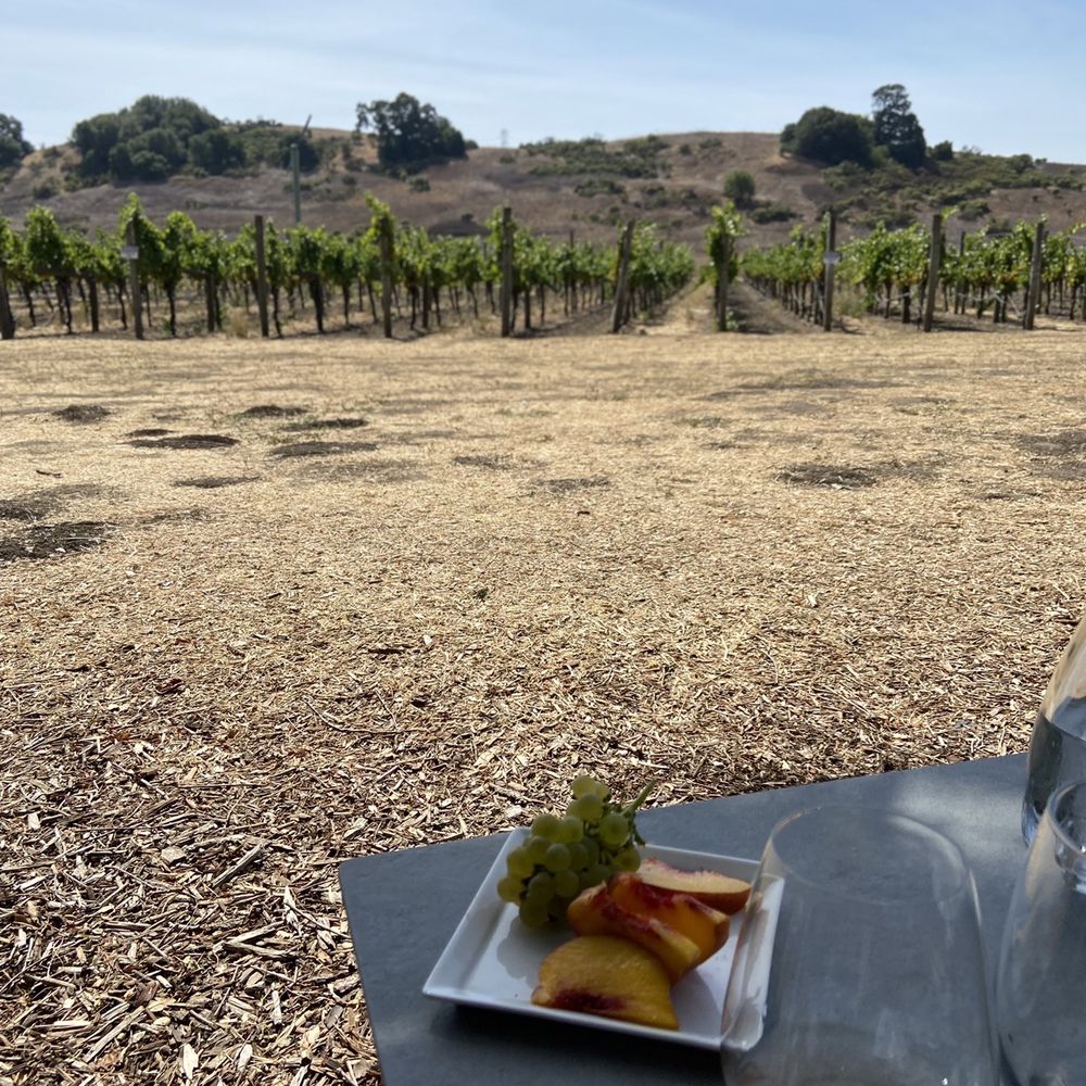 Cuvaison - Wineries Near Me - Napa, California