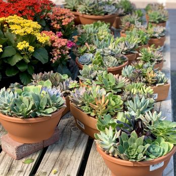SummerWinds Nursery - Campbell - Nurseries & Gardening Near Me - Campbell, California SummerWinds Nursery - Campbell - Nurseries & Gardening Near Me - Campbell, California