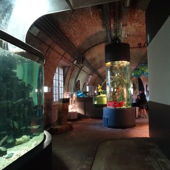 Fort Kijkduin - Museums Near Me - Den Helder, New Hampshire