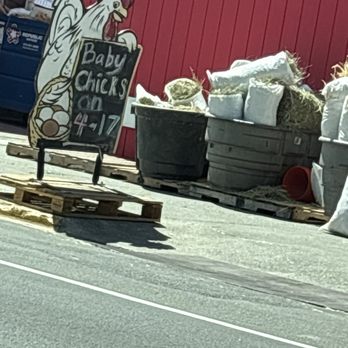 Western Feed & Pet Supply - Pet Stores Near Me - Sacramento, California Western Feed & Pet Supply - Pet Stores Near Me - Sacramento, California