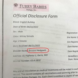 Furry Babies Portage - Google the name of the breeder