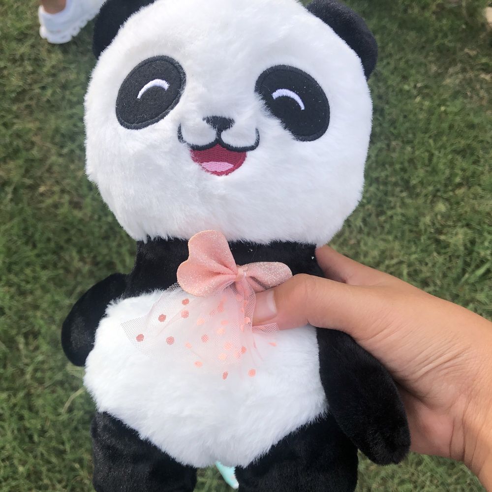 Panda they got for us